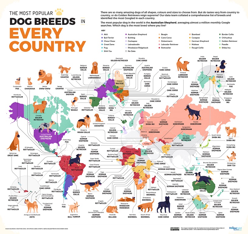 Dog Breed