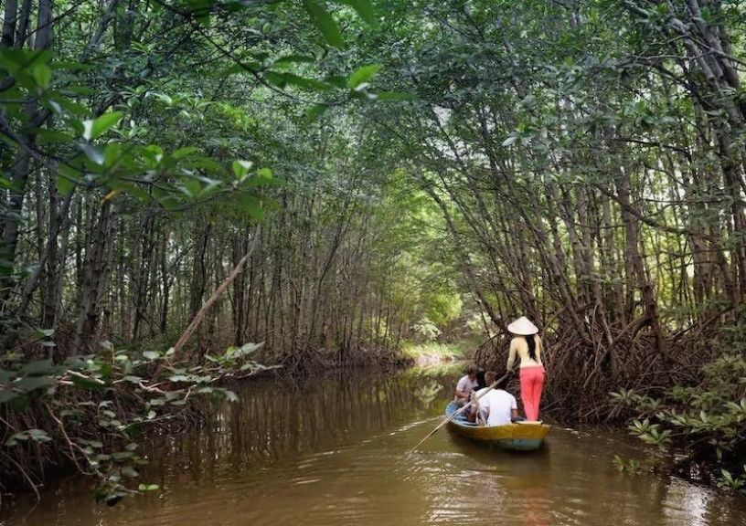 Asia Mangrove forests