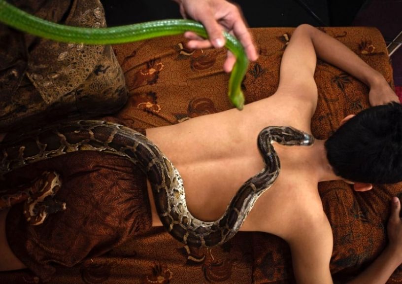 Unconventional Spa Treatments