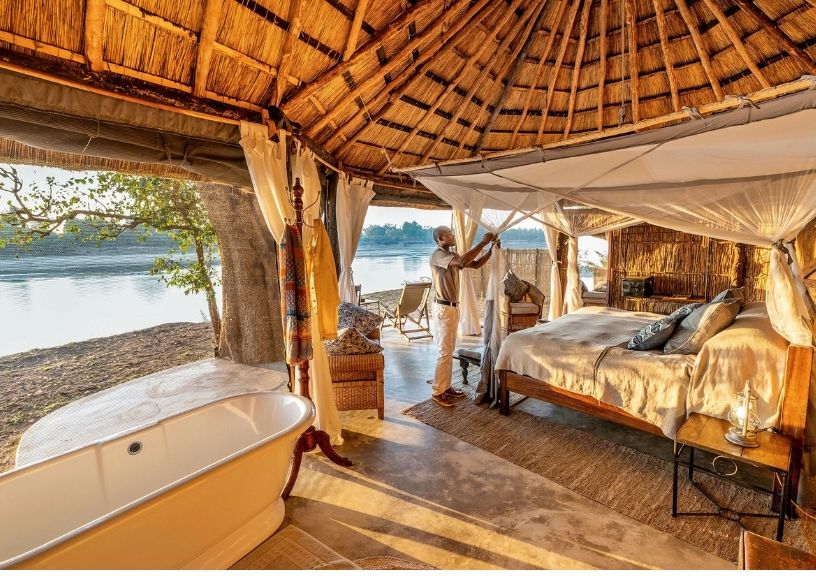 Year to Take a Safari