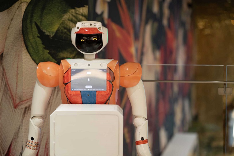 Robot