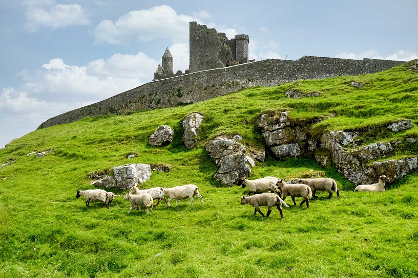 Northern Ireland