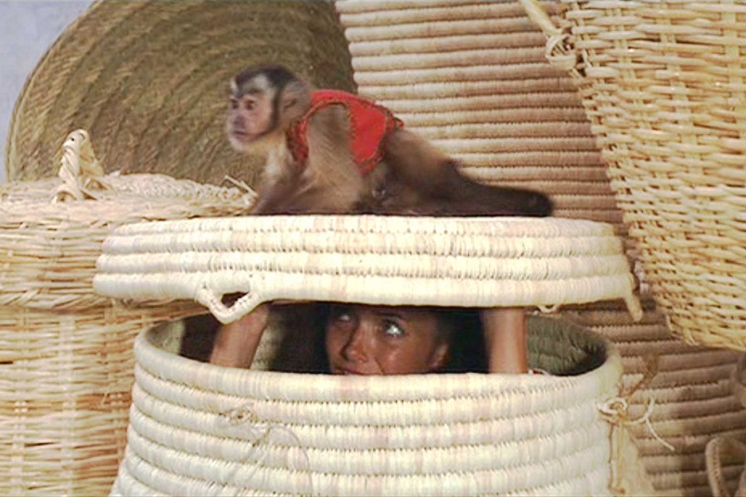 Travel movies
