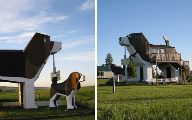 This Airbnb Vacation Home Is Shaped Like A Giant Beagle Dog