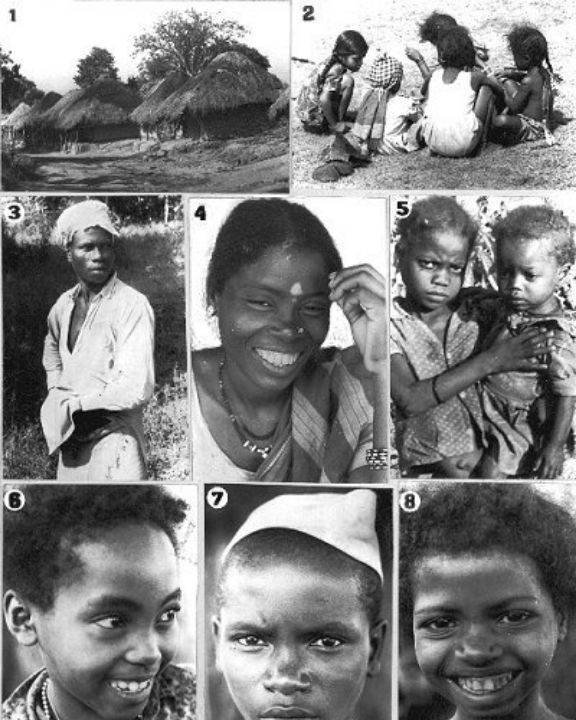 Hyderabad Afro-Arabian