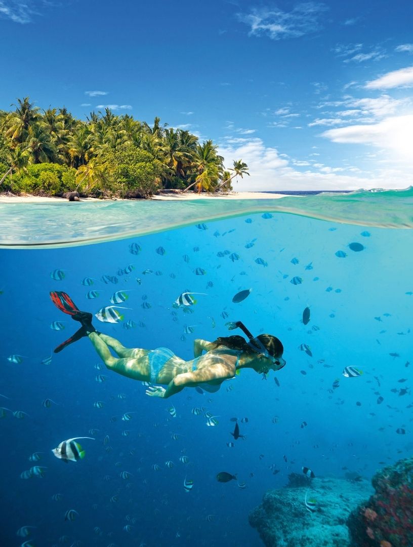 Shift To The Maldives