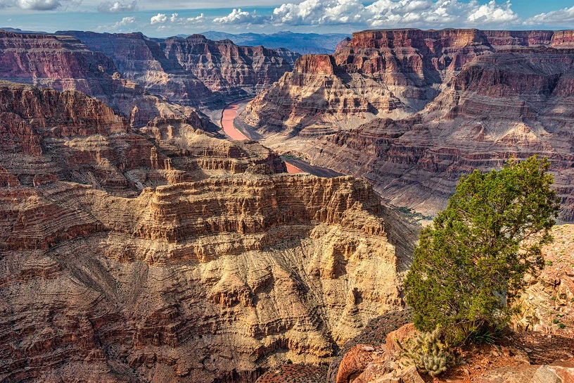 Bucket List trips