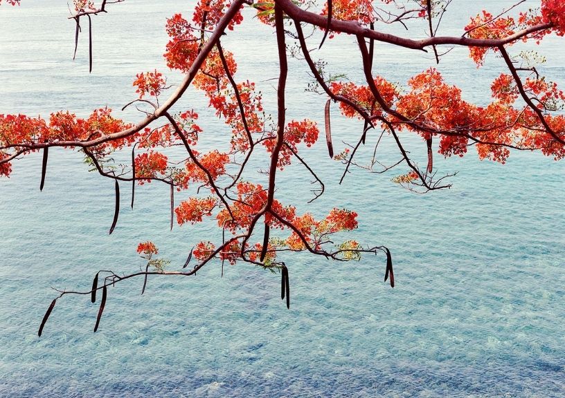 Islands Of Eastern Indonesia