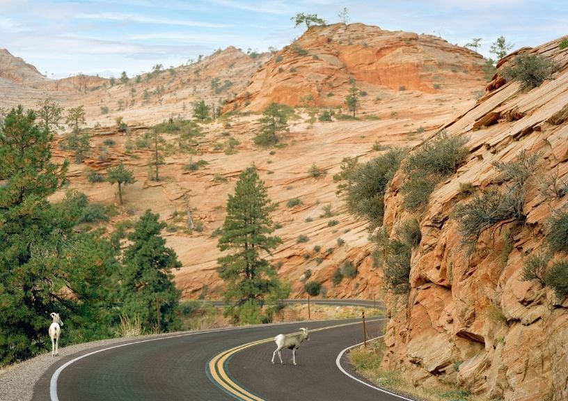 Red Sandstone Canyons