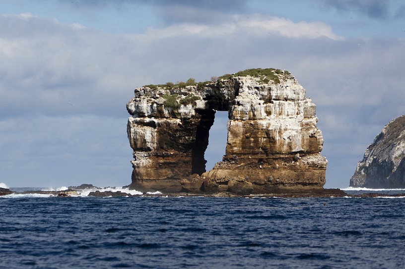 The Darwin Arch