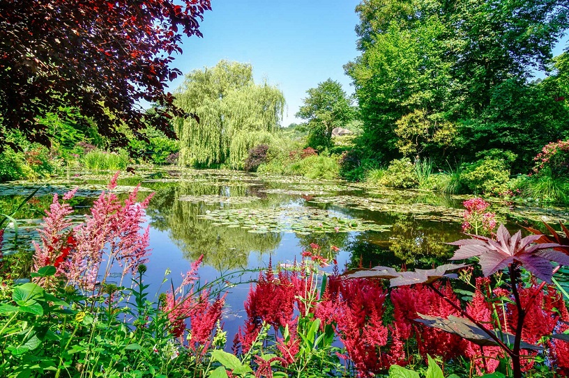 Monet's gardens