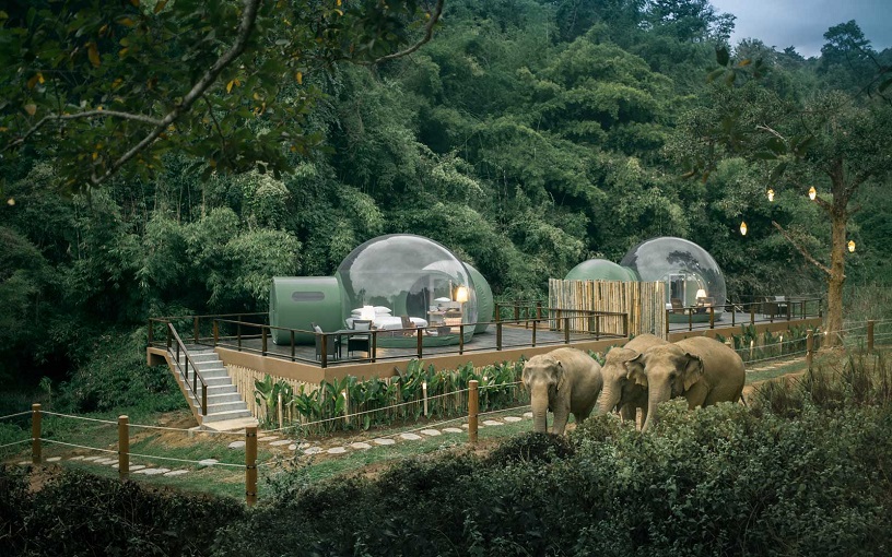 Anantara Golden Triangle Elephant Camp & Resort