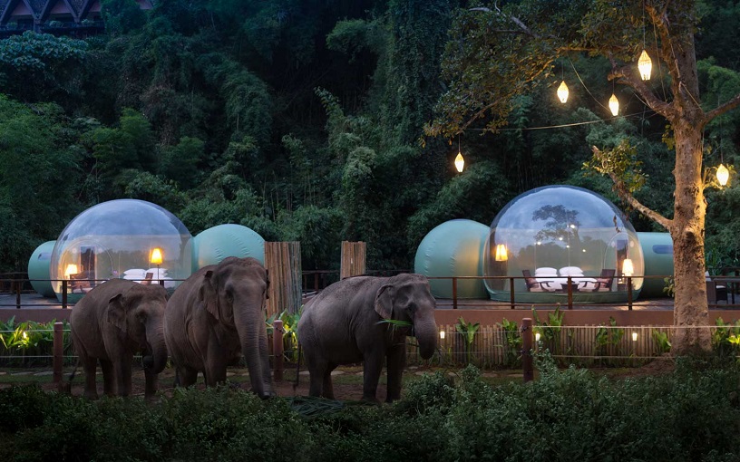 Anantara Golden Triangle Elephant Camp & Resort