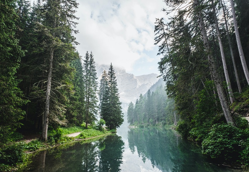 World Environment Day 2021