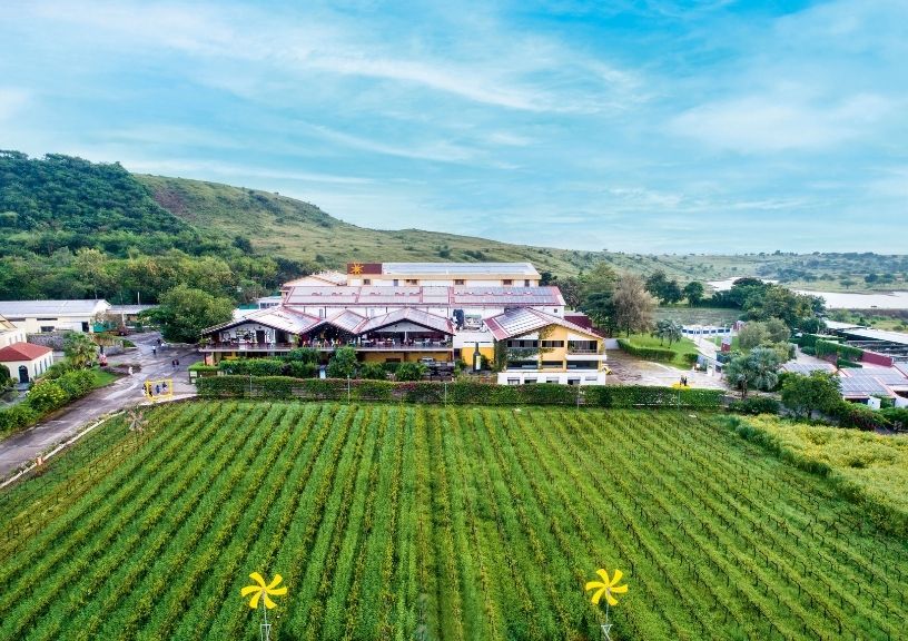Wineries In Nashik