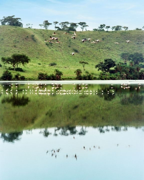 Uganda