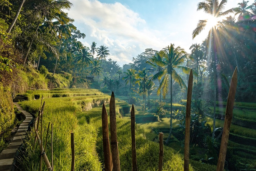 Best time to visit Bali