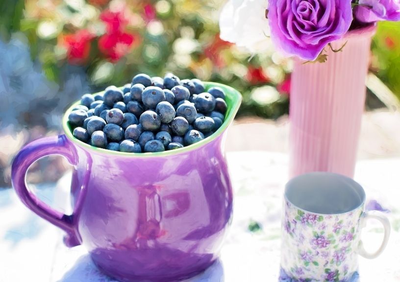 Immunity boosting