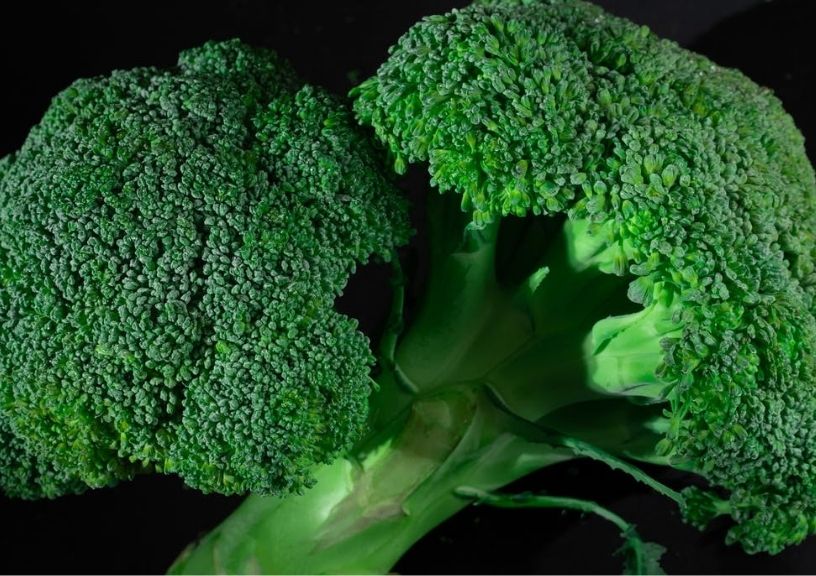 Immunity boosting