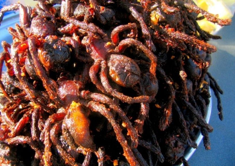Weird dishes