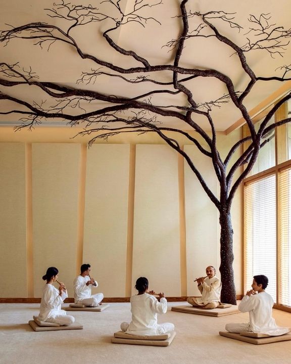 Wellness Getaway