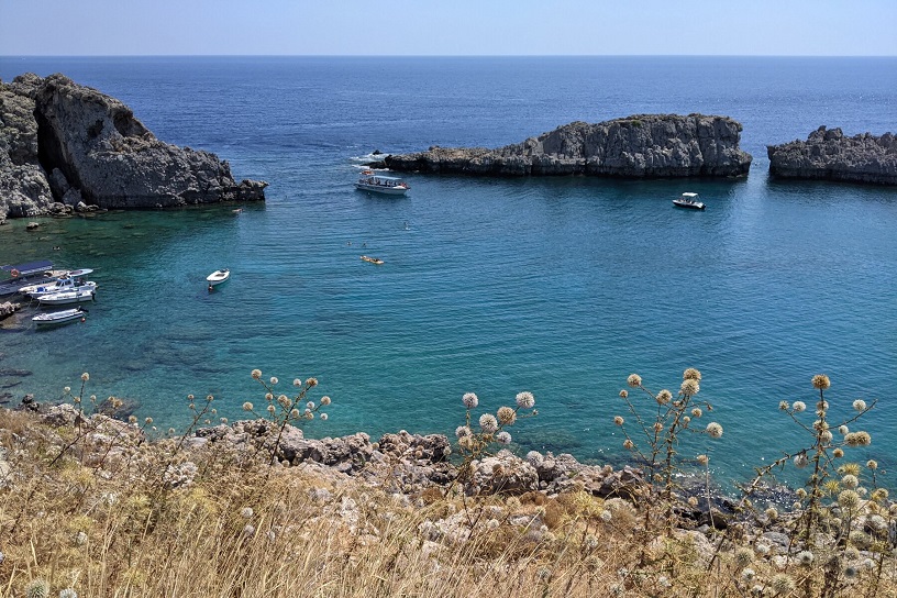 Mediterranean