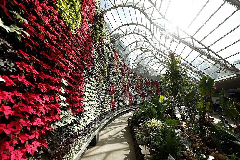 Royal Botanic Garden