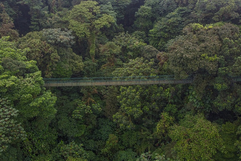 Selvatura Park