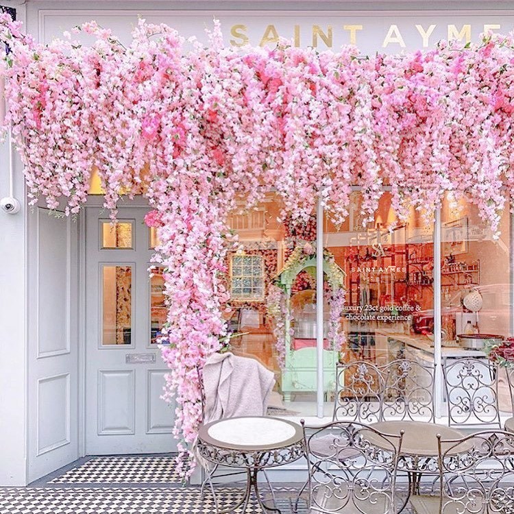 Saint Aymes