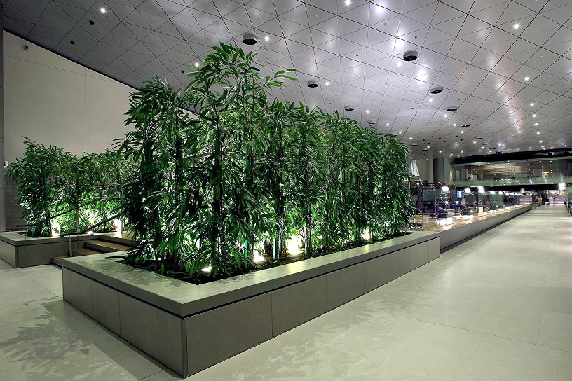 Airport Lounge