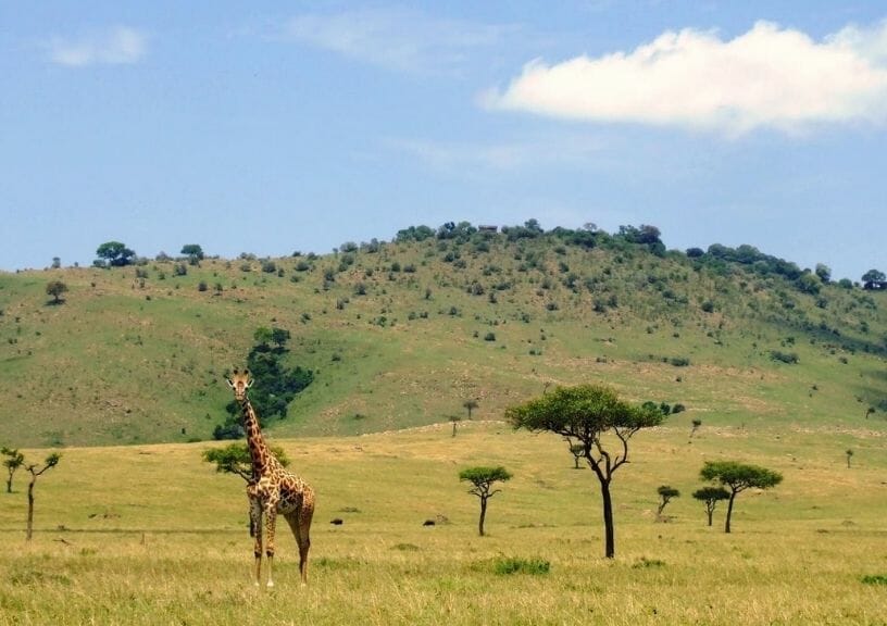 Unique honeymoon destinations