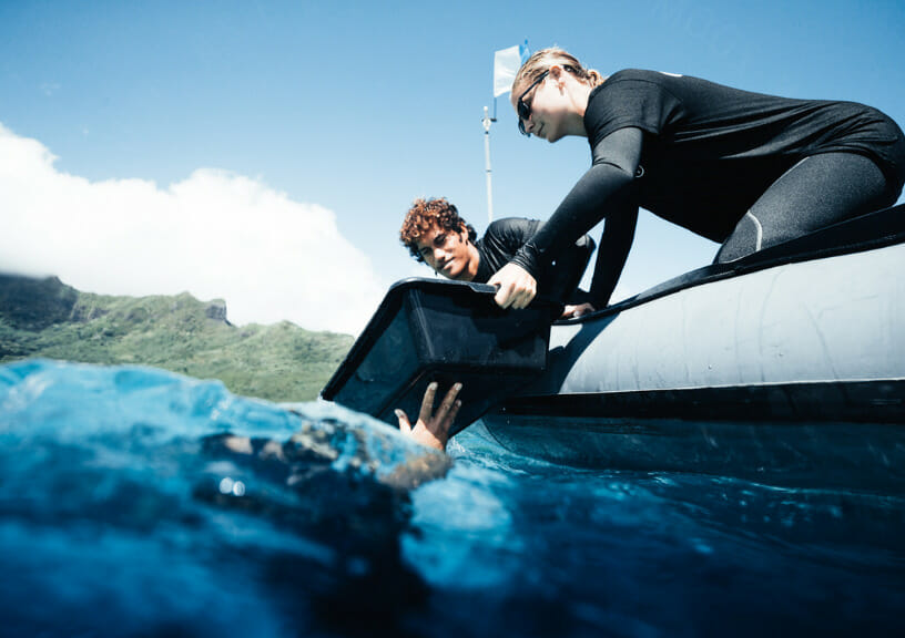Coral gardeners