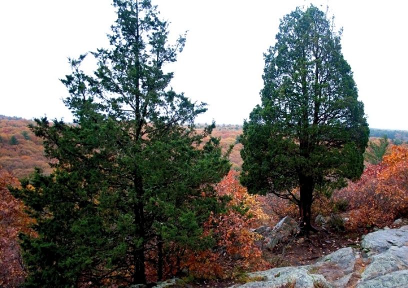 Hikes in New England