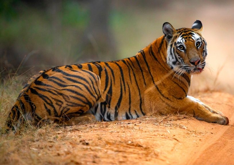 Suyash Keshari