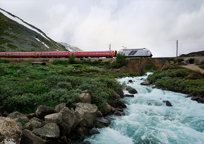 Arctic circle