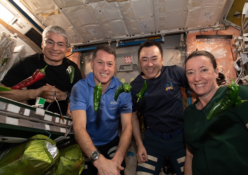 Astronauts