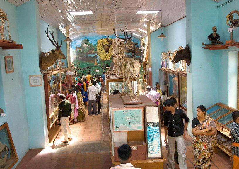 Kodaikanal