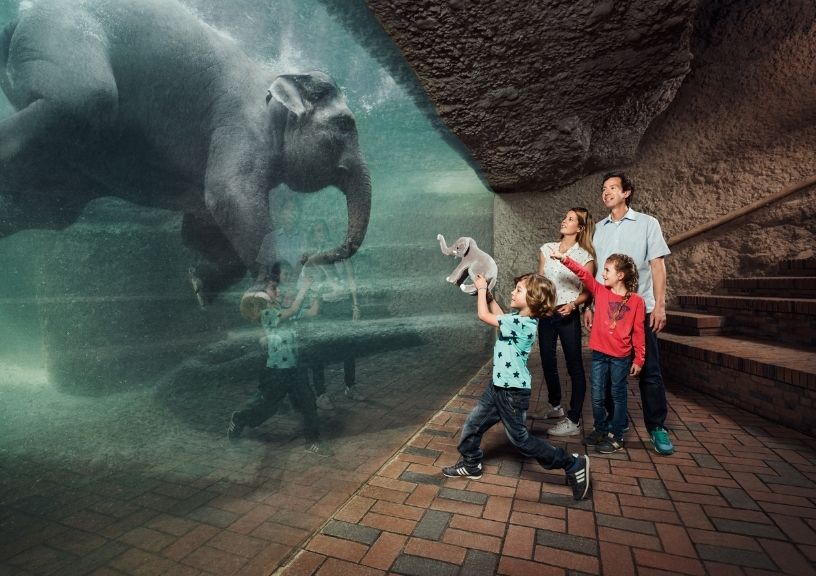 Zurich Zoo