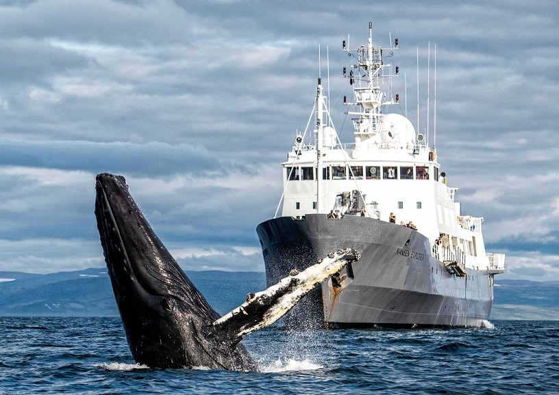 Nansen Explorer